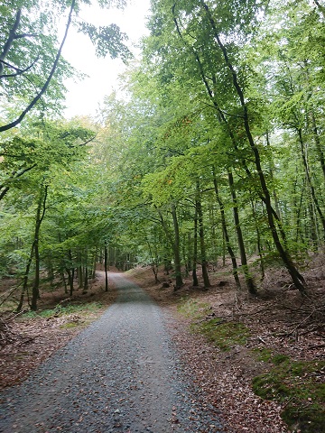 Buchenwald Nationalpark